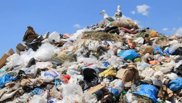 Окружающая среда и пластик
